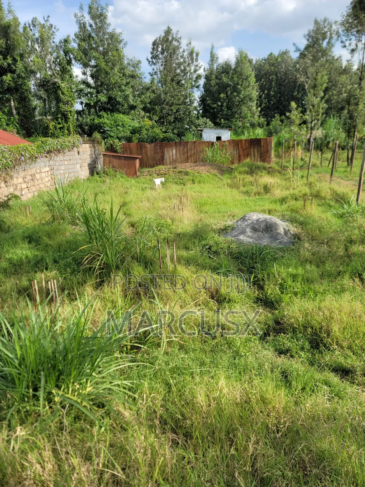 Premium Land