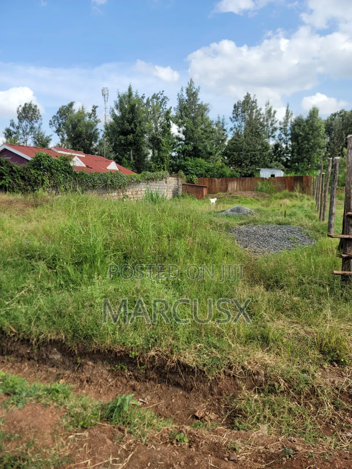 Premium Land