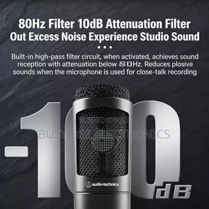 At2035 Cardioid Condenser Microphone Professional Studio