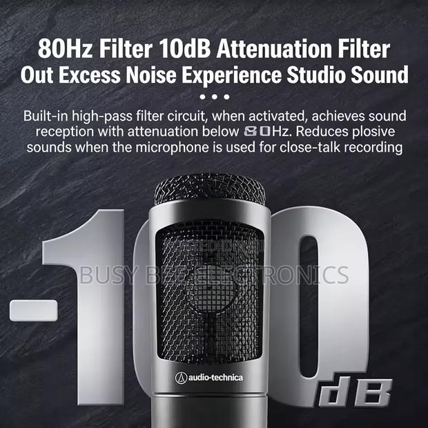 At2035 Cardioid Condenser Microphone Professional Studio - thumbnail 3