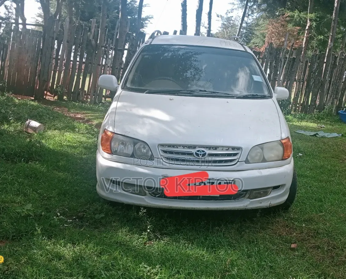 Toyota Ipsum 2004 White