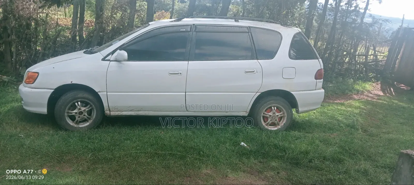 Toyota Ipsum 2004 White