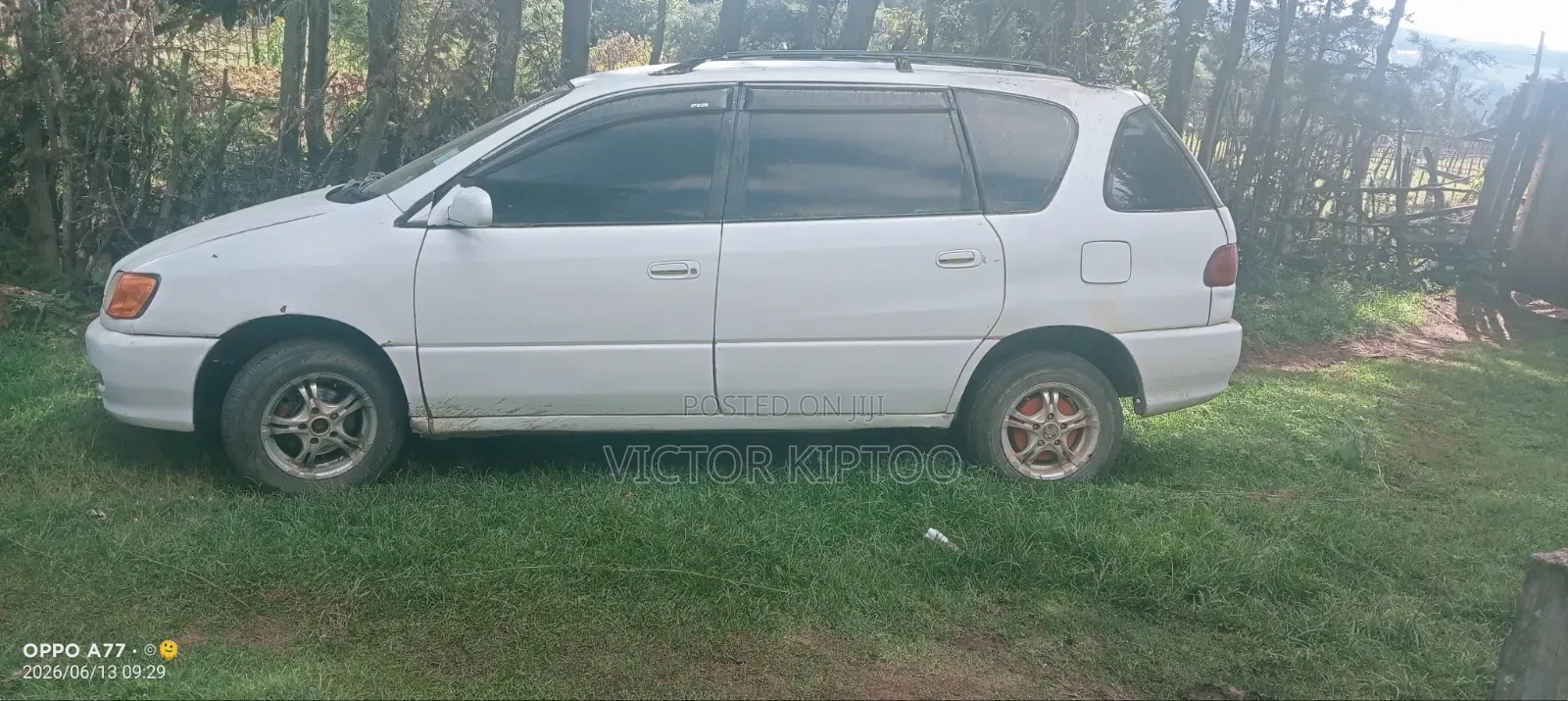 Toyota Ipsum 2004 White