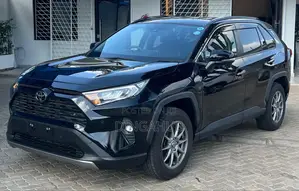 Toyota RAV4 LE AWD 2019