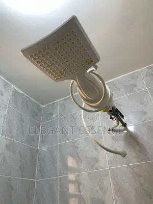Lorenzetti Shower Loren Electronic Shower 6800w 220v