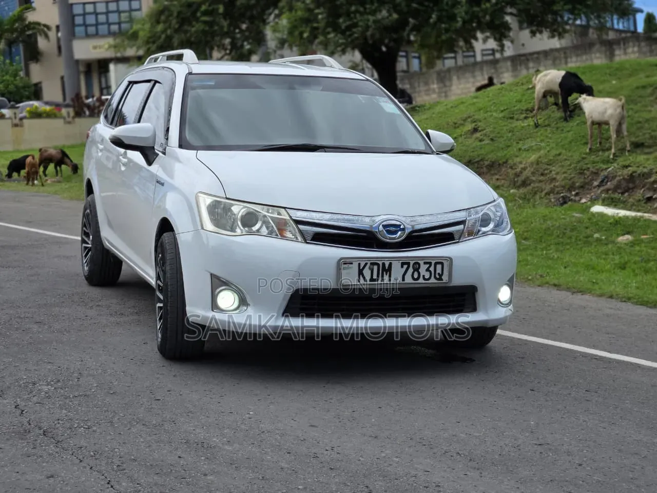 Toyota Corolla Fielder 2016 White