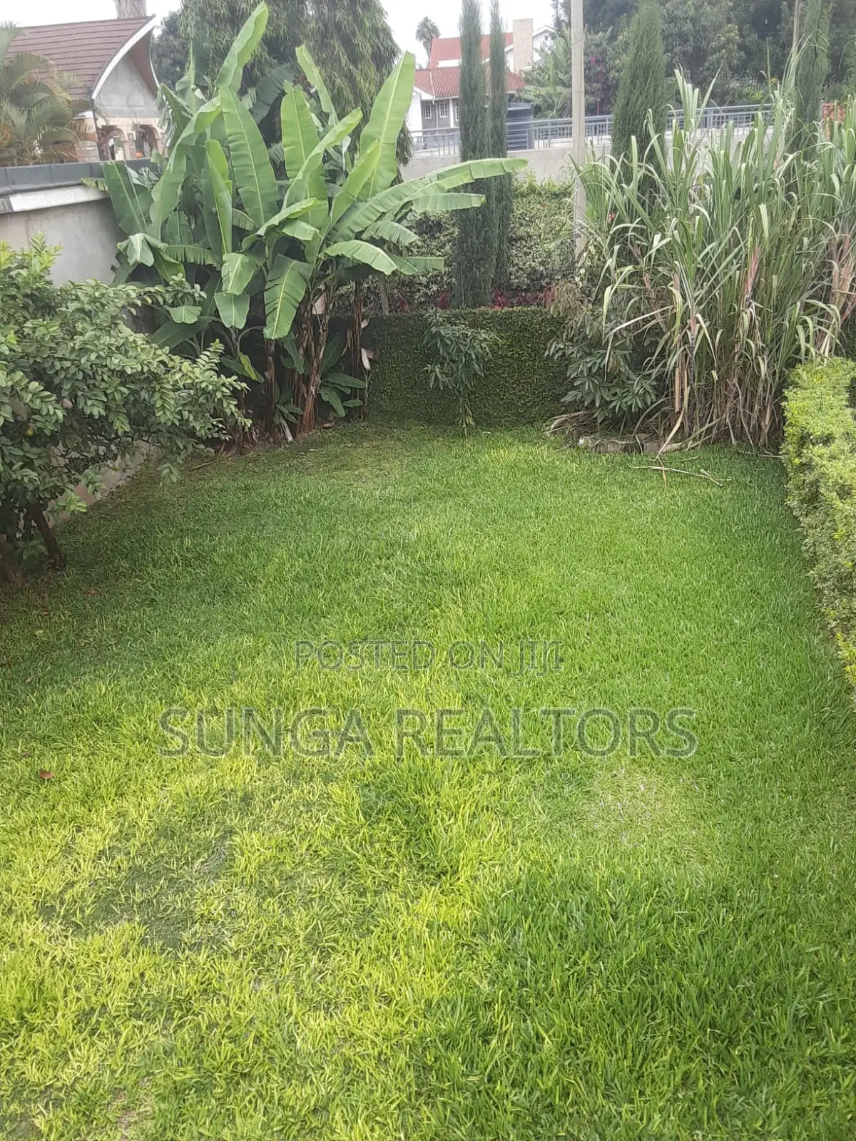 Furnished 2bdrm Apartment in Evergreen, Runda for rent