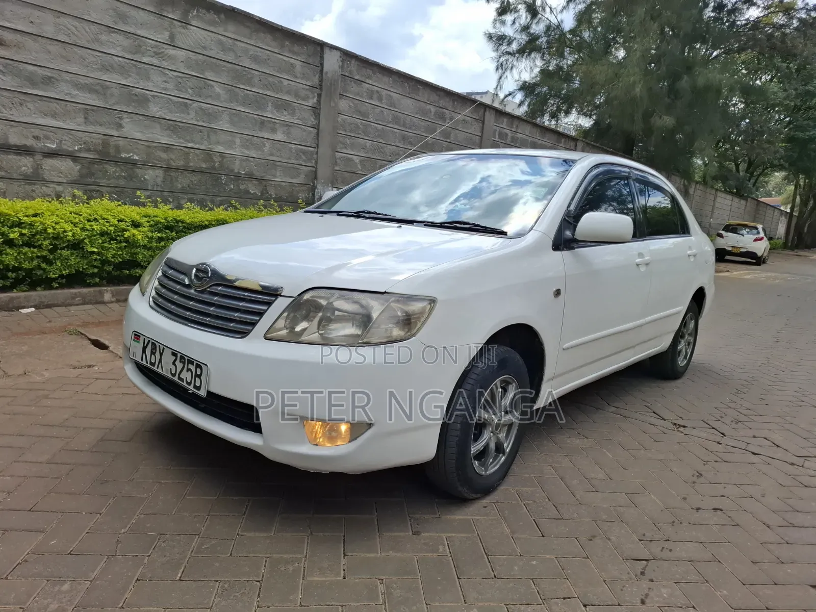 Toyota Corolla 2006 White