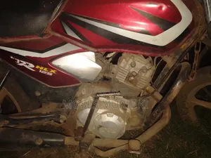 TVS HLX 125 2024 Red