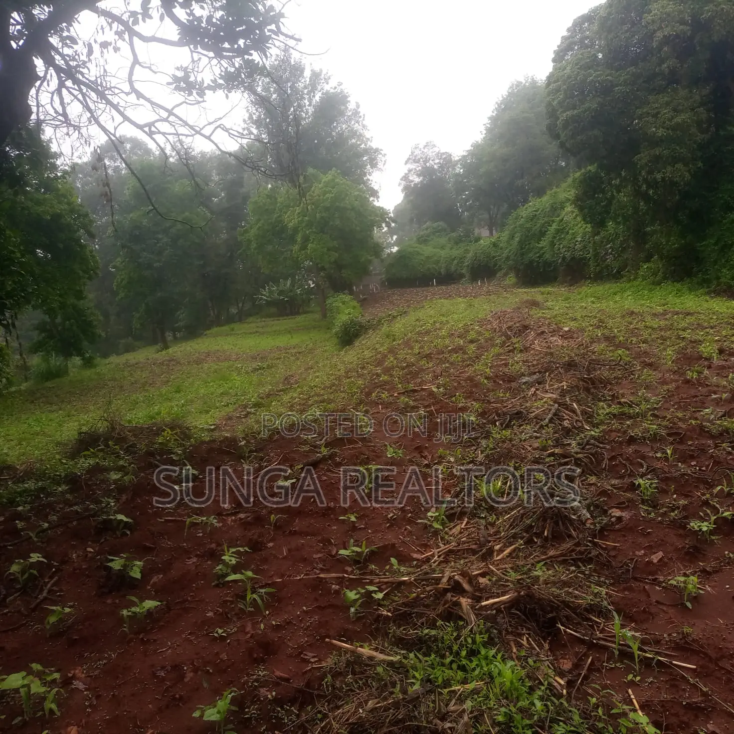 Plot for Sale in Old Kitisuru