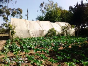 18 Acres Farm Plus Operating School