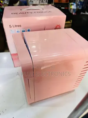 Car Fridge 5l Compact Car Refrigerator With Fast Cooling System
