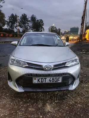 Toyota Axio 2017 Gray
