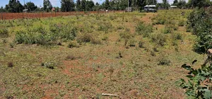 Plots for Sale