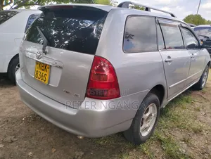 Toyota Corolla Fielder 2004 Silver