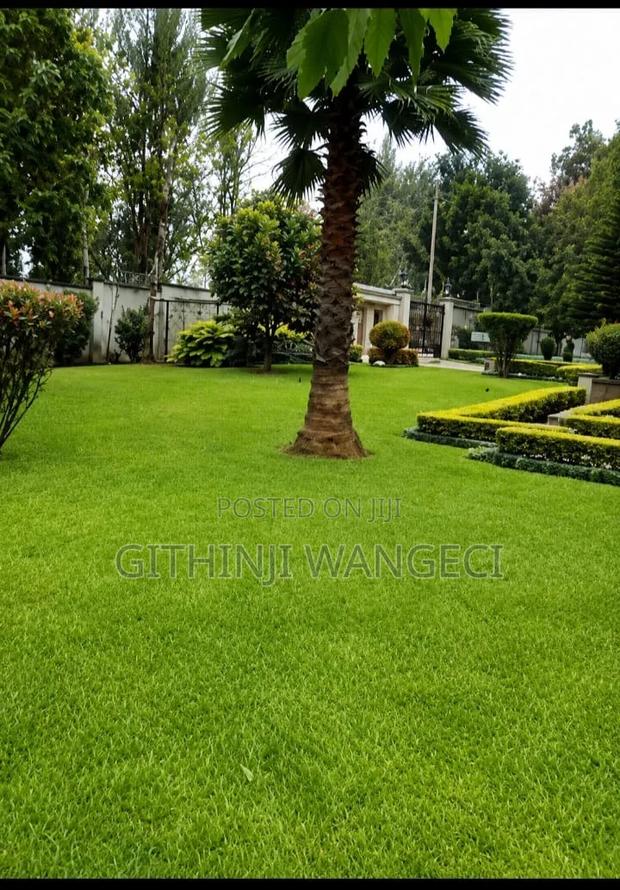 4bdrm Mansion in Karen for sale - thumbnail 4