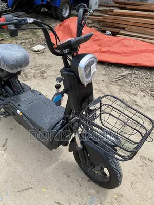 Electric Bicycle