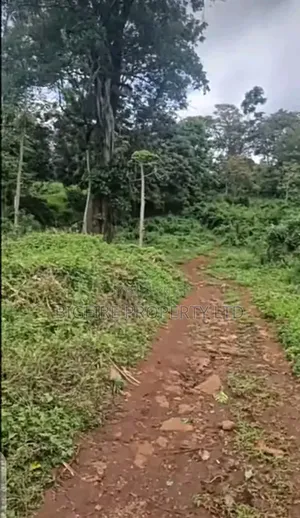 5acres for Sake Runda