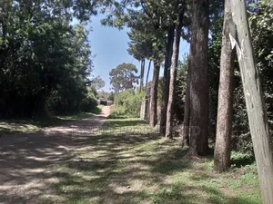 5acres for Sale Runda