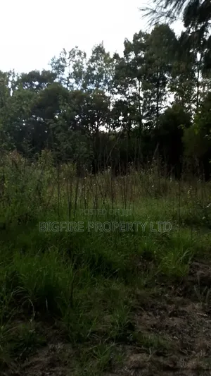 5acres for Sale Runda