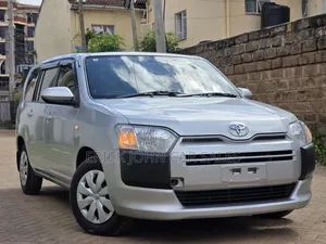 Toyota Probox 1.5 DX 2WD 2020 Silver