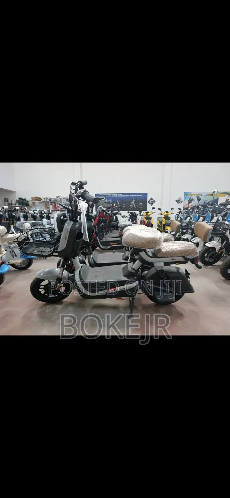 E Bike (Scooter)