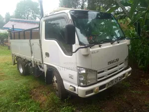 Isuzu ELF Truck 2014 Silver