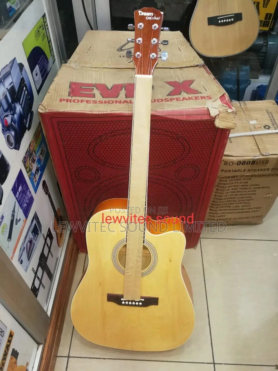 Semi Acoustic Guitar