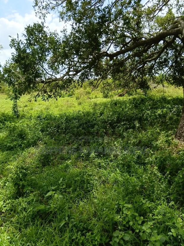 13 Acres for Sale at Malindi Kakoneni Per Acre - thumbnail 5
