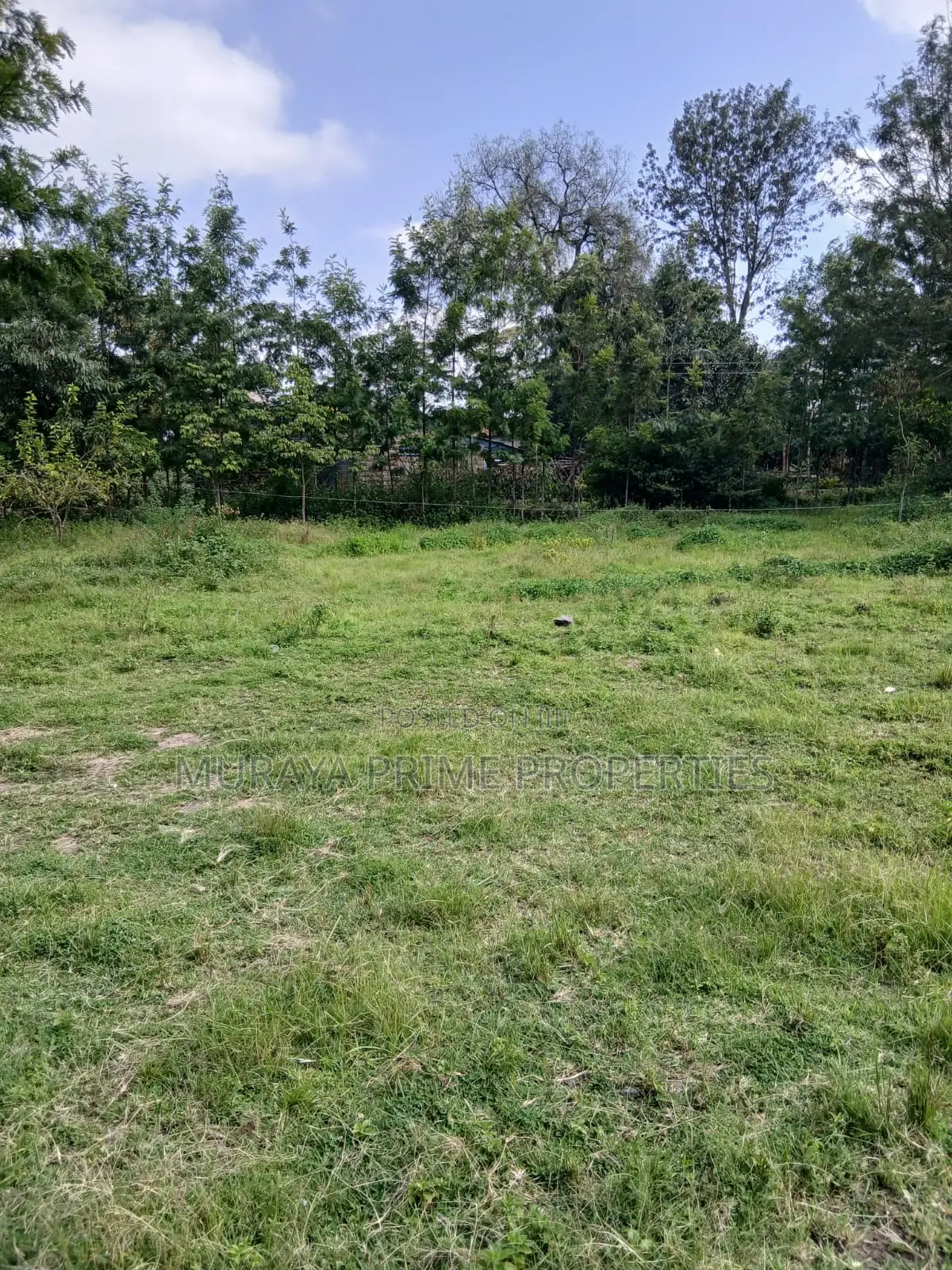Prime Quarter-Acre