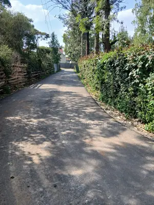Prime Quarter-Acre