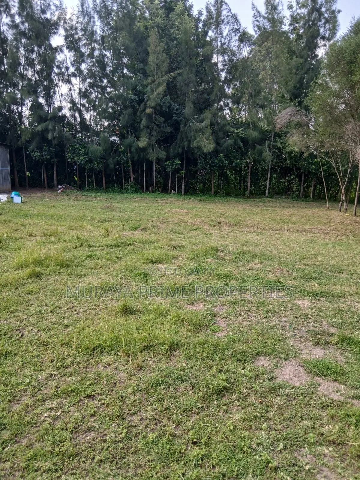 Prime Quarter-Acre