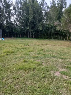 Prime Quarter-Acre