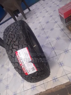 225/65r17 Double King M/T