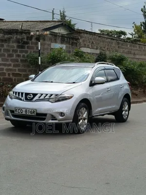 Nissan Murano 2011 Silver