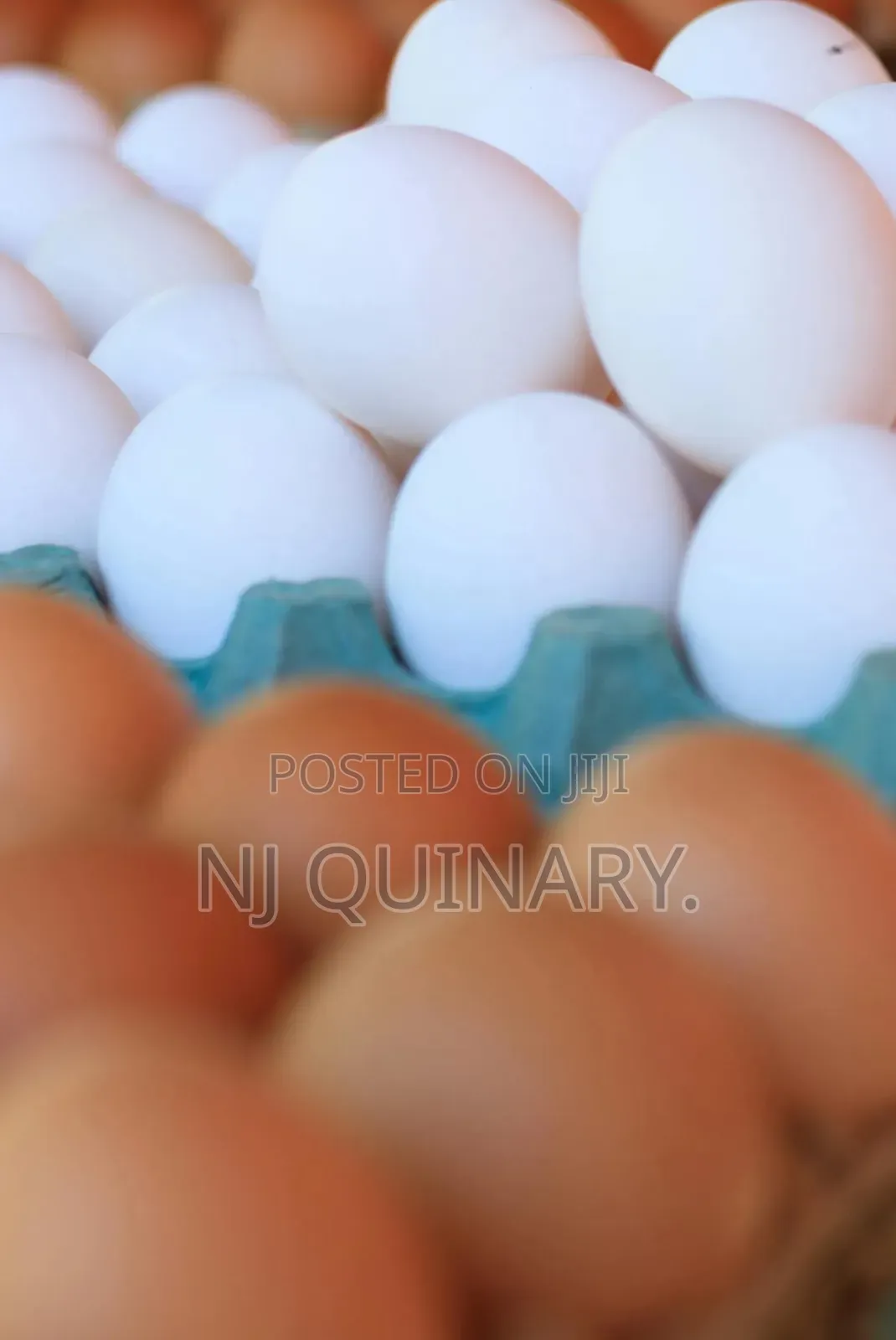 A Tray of Eggs (30)