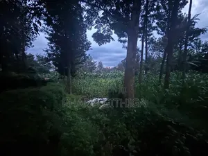 Land in Ruaka