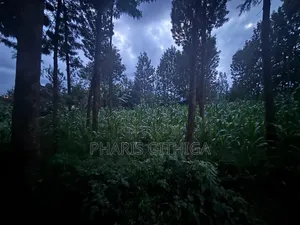 Land in Ruaka