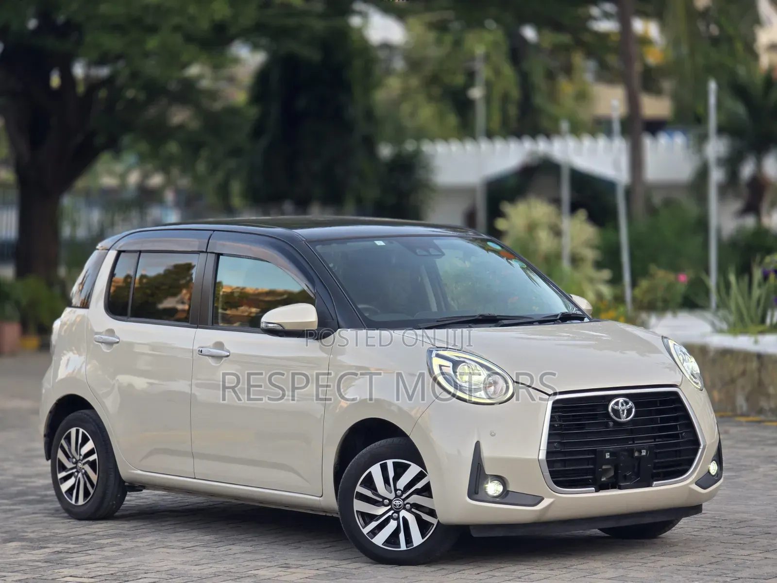 Toyota Passo 2019 Beige