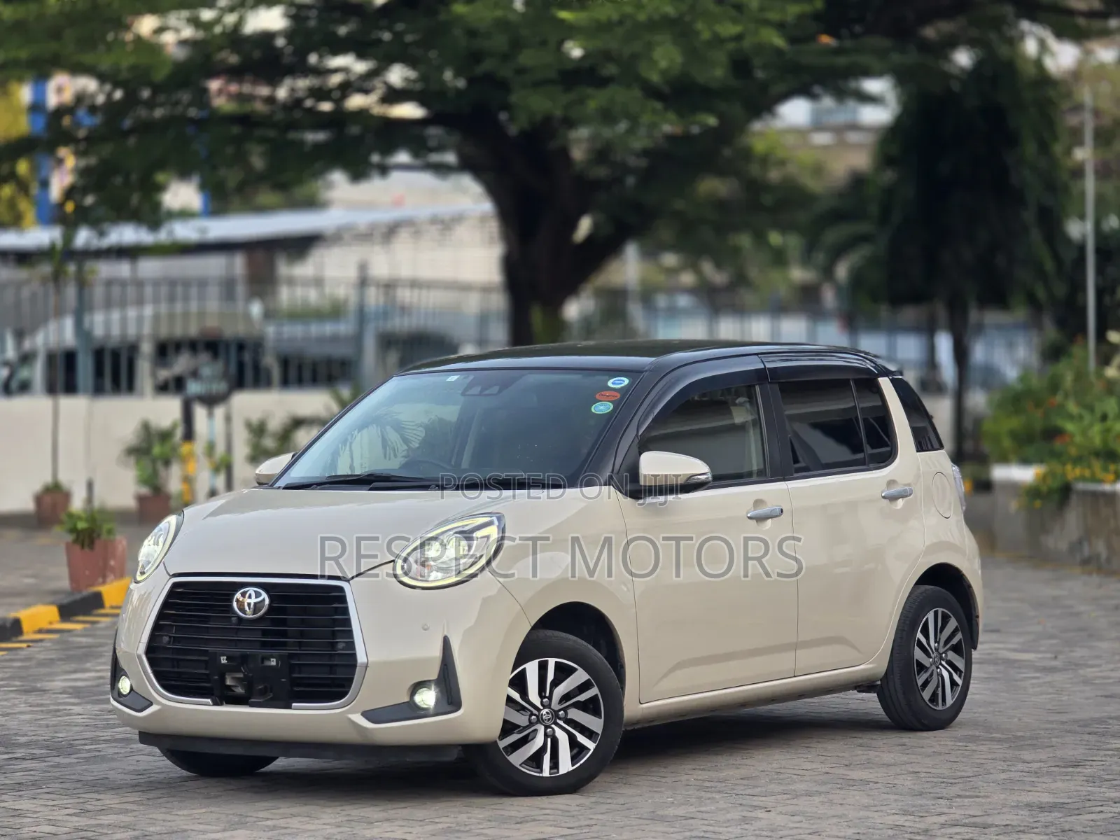 Toyota Passo 2019 Beige