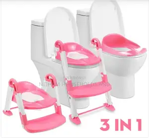 3 in 1 Potty Training Seat and Ladder