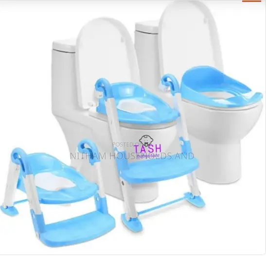 3 in 1 Potty Training Seat and Ladder