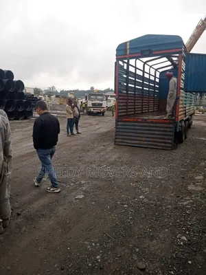 Heavy Crane for Lifting Accessible > Professional Services