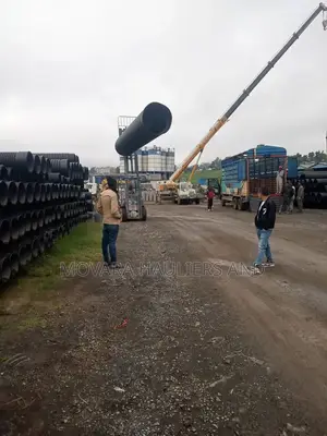 Heavy Crane for Lifting Accessible > Professional Services