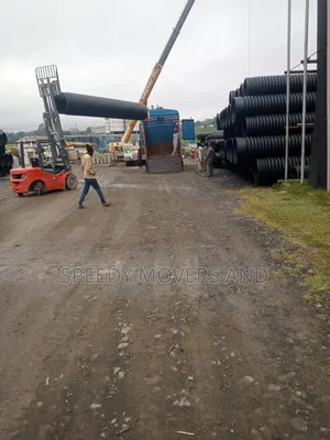 Heavy Crane for Lifting Accessible > Professional Services