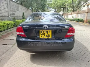 Toyota Axio 2010 Matt Black