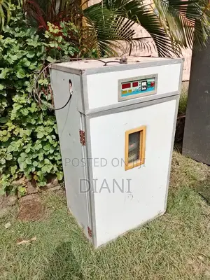 Used 528 Eggs Incubator