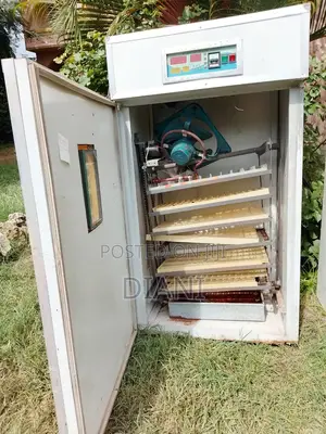 Used 528 Eggs Incubator