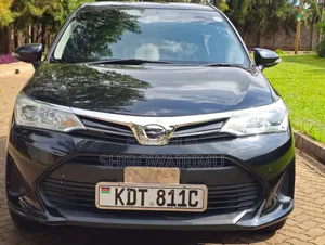 Toyota Axio 2018 Matt Black