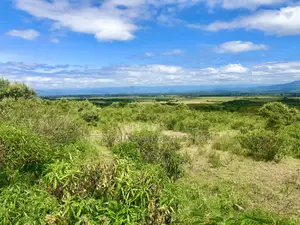 Naivasha Gated Community(Royal Homes)